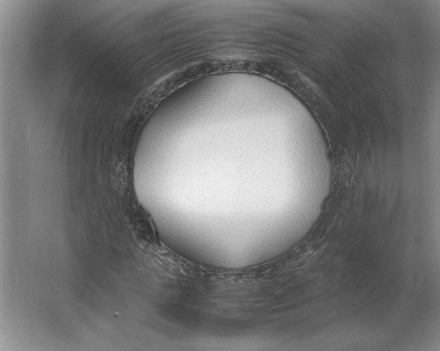X0000062150821200512301551