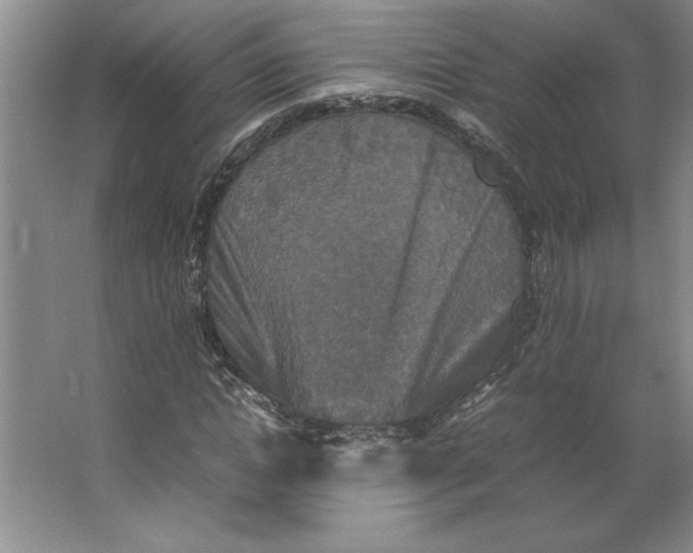 X0000062150822200512301551