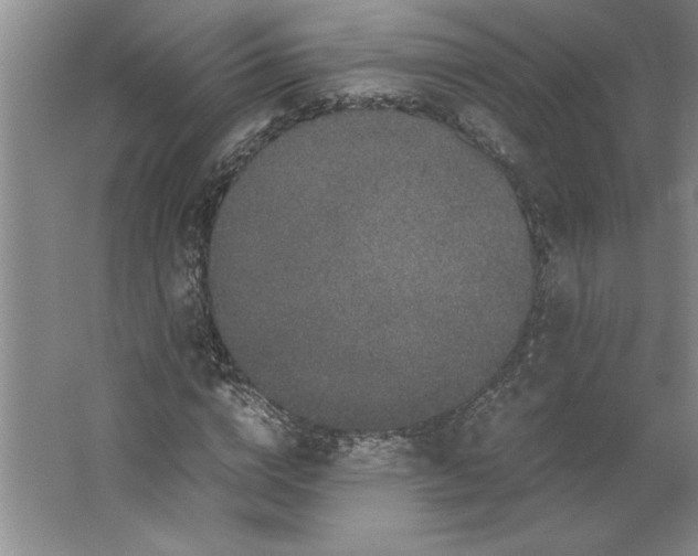 X0000062150824200512301551
