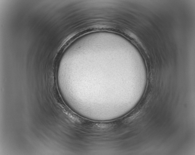 X0000062150829200512301551