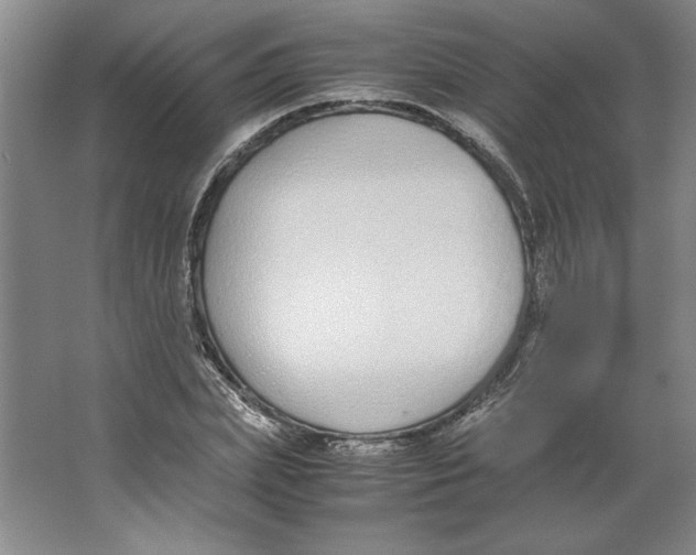 X0000062150831200512301551
