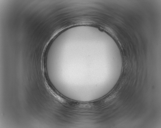 X0000062150843200512301551