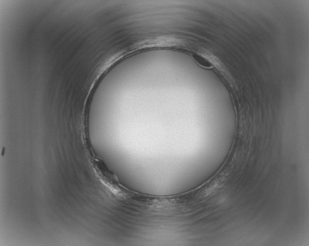 X0000062150850200512301551