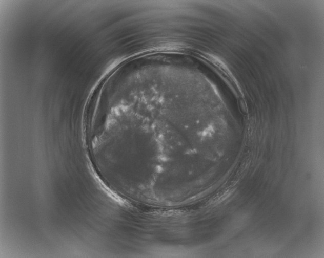 X0000062150851200512301551