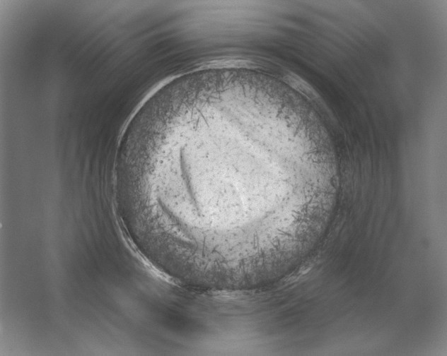 X0000062150852200512301551