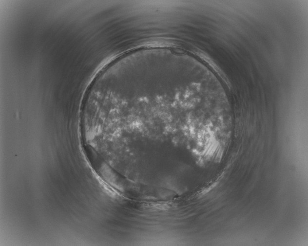 X0000062150853200512301551