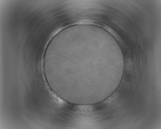 X0000062150856200512301551