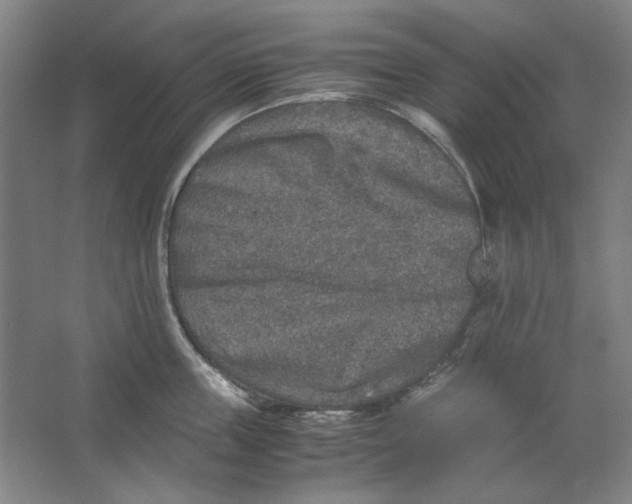 X0000062150859200512301551