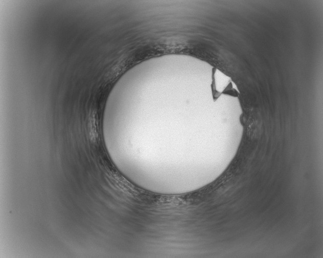 X0000062150866200512301551