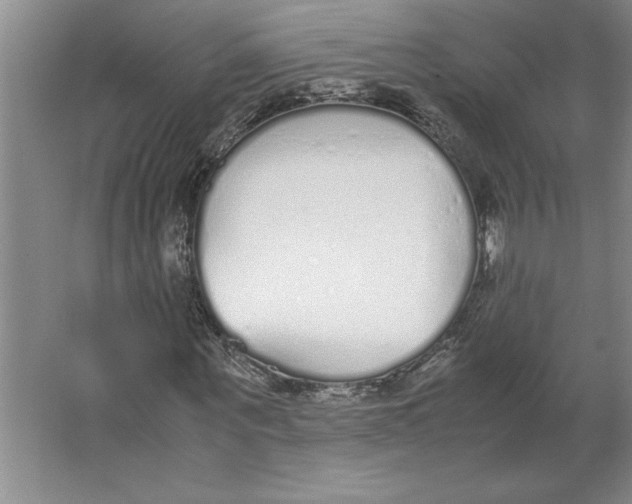 X0000062150867200512301551