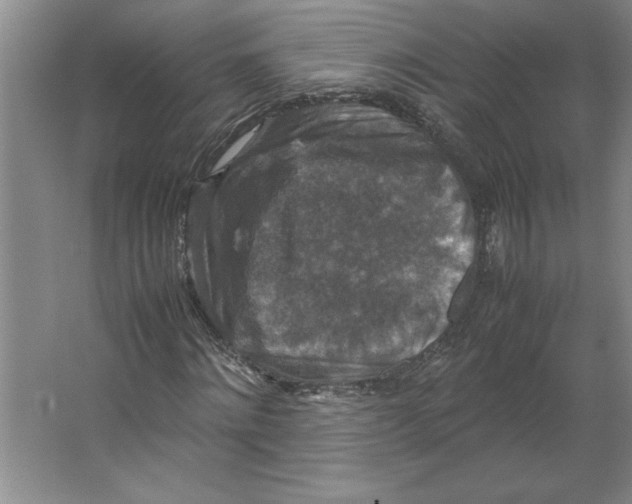 X0000062150868200512301550