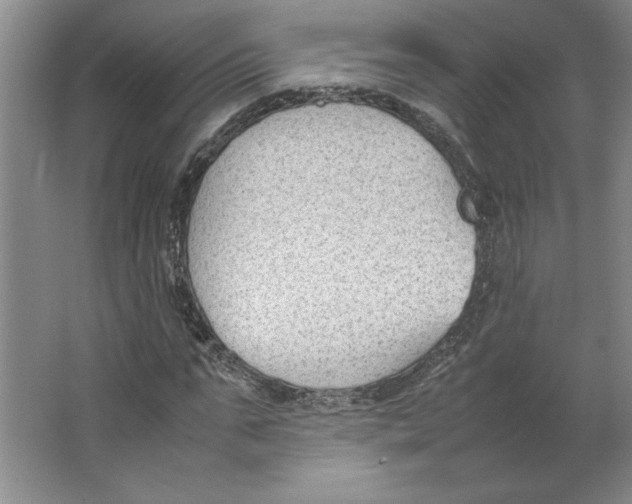 X0000062150871200512301550