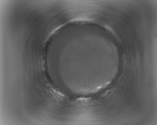 X0000062150872200512301550