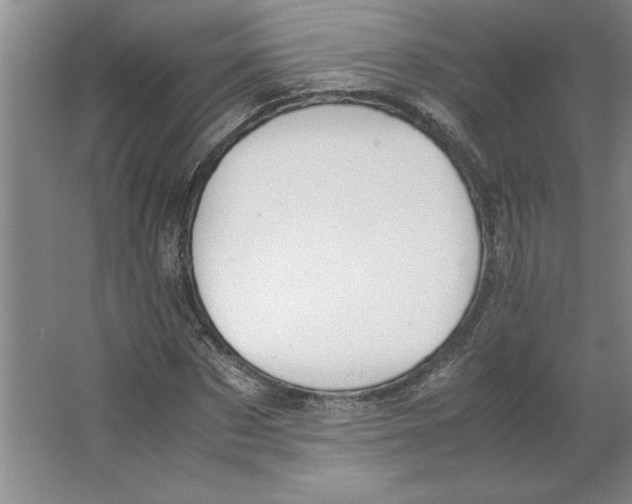 X0000062150873200512301550