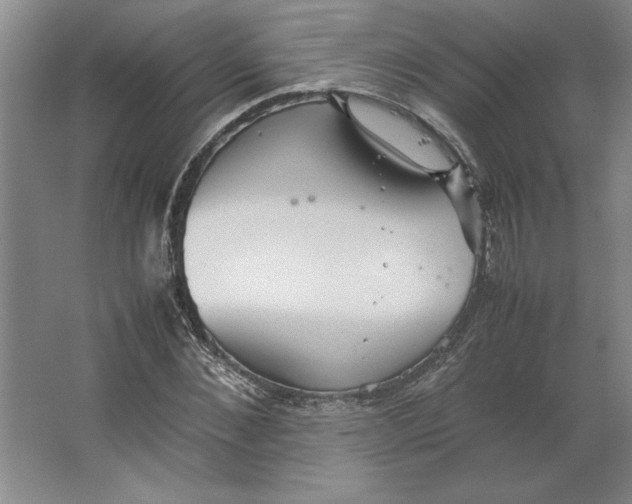 X0000062150876200512301550