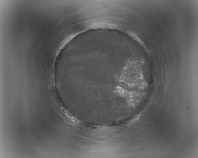 X0000062150877200512301550