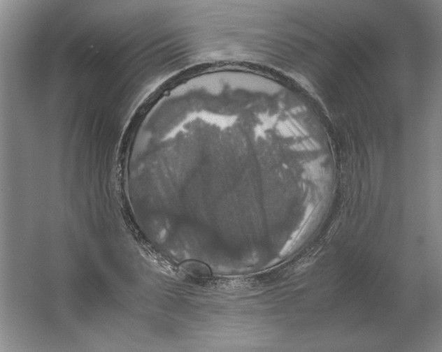 X0000062150879200512301550