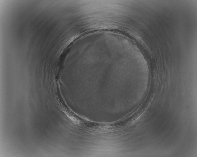 X0000062150881200512301550