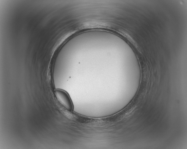 X0000062150885200512301550