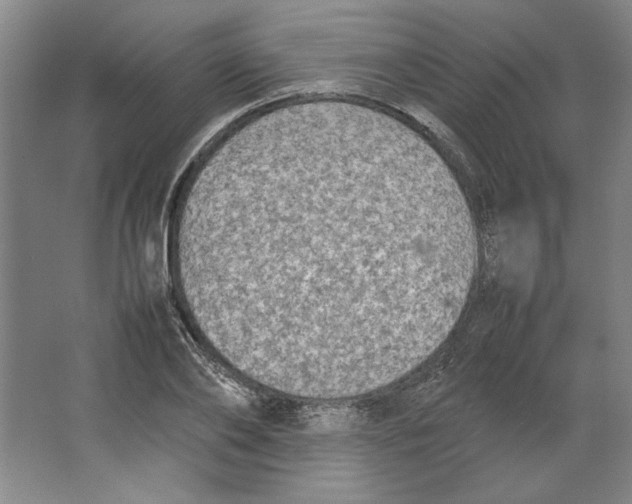 X0000062150886200512301550