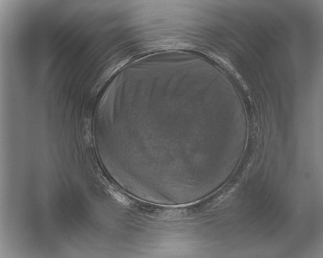 X0000062150889200512301550