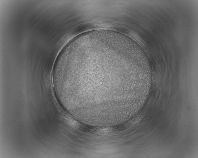 X0000062150891200512301550