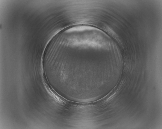 X0000062150892200512301550