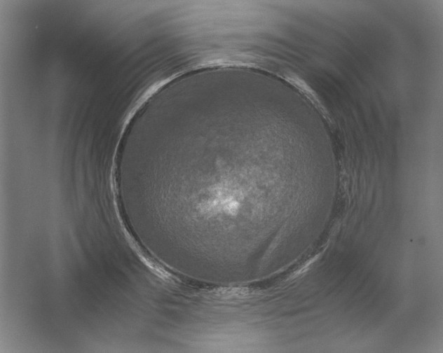 X0000062150893200512301550