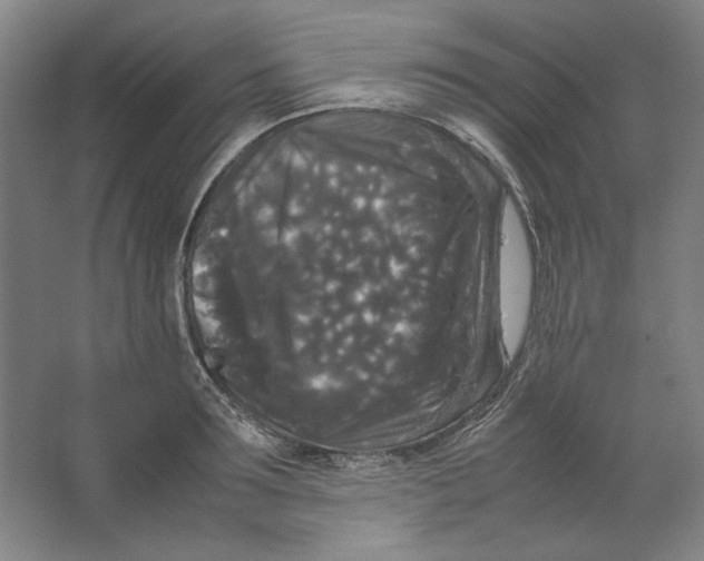 X0000062150899200512301550