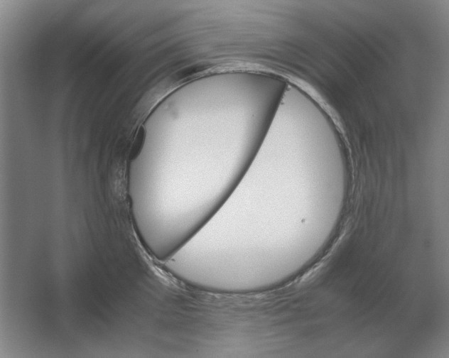 X0000062150905200512301550