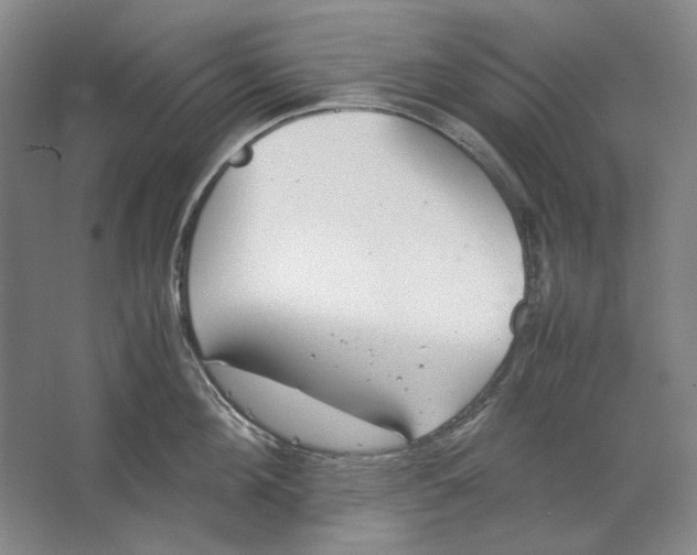 X0000062150908200512301550