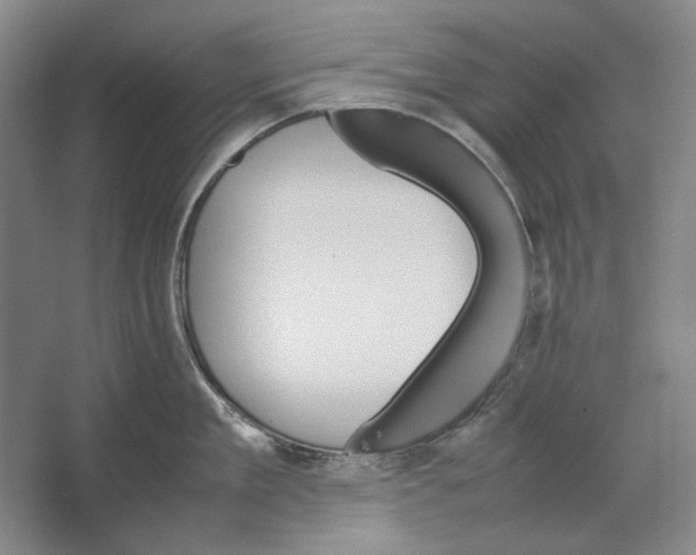 X0000062150909200512301550