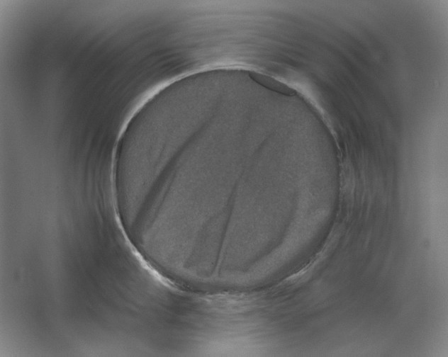 X0000062150910200512301550