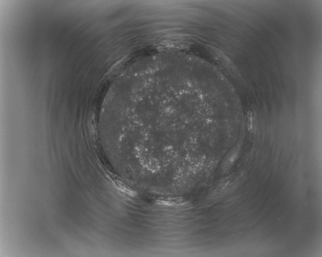 X0000062150915200512301549
