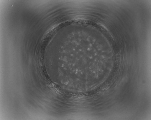 X0000062150919200512301549