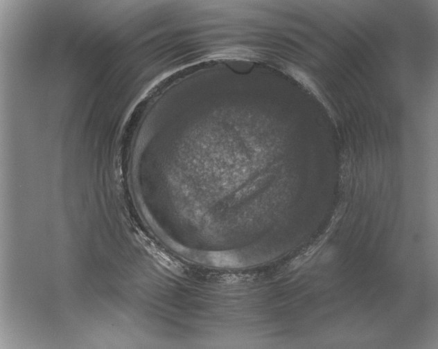 X0000062150923200512301549
