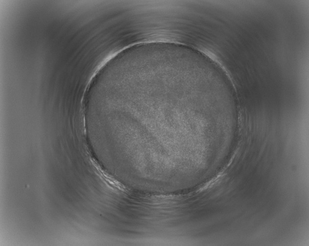 X0000062150925200512301549