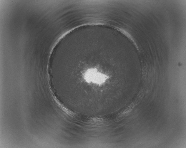 X0000062150935200512301549