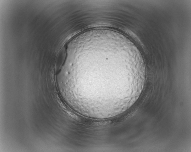 X0000062150937200512301549