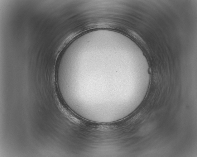 X0000062150938200512301549