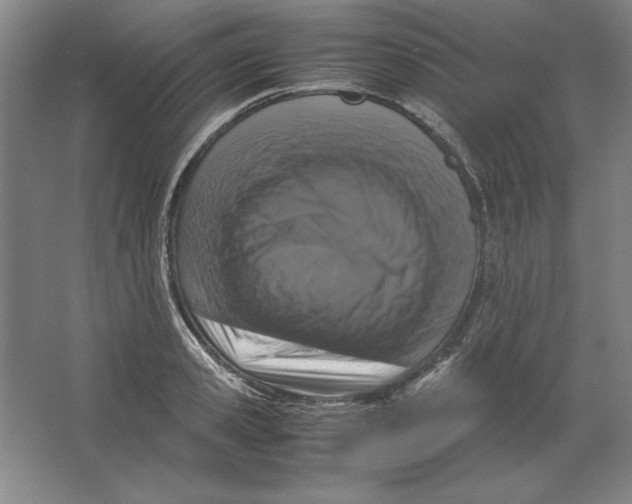 X0000062150941200512301549