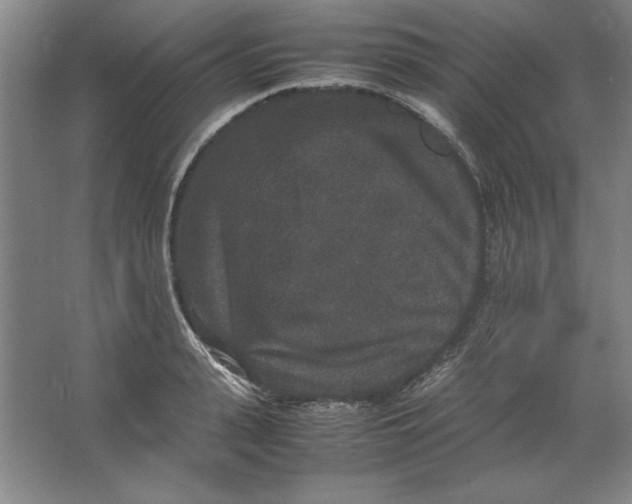 X0000062150943200512301549