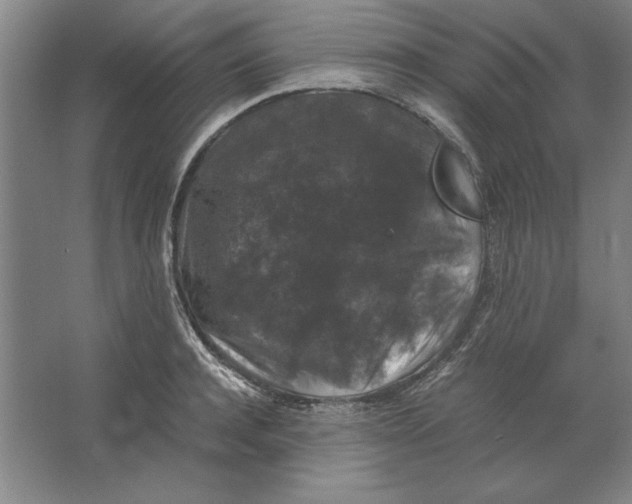X0000062150944200512301549