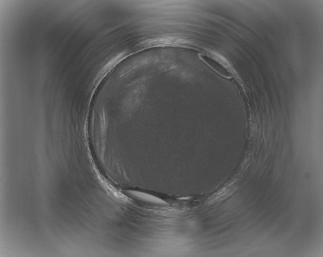X0000062150946200512301550