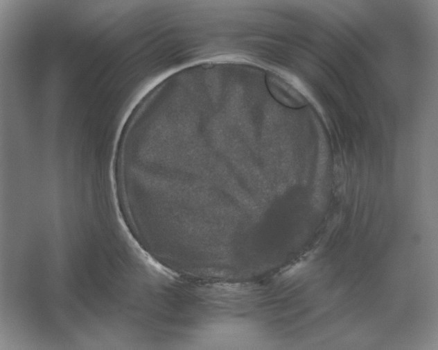 X0000062150959200512301550