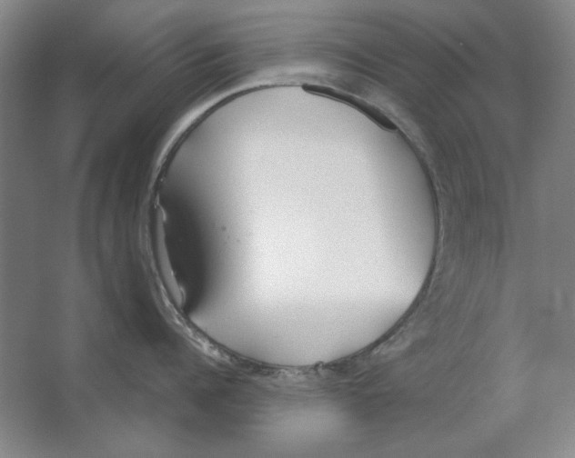 X0000062150960200512301550