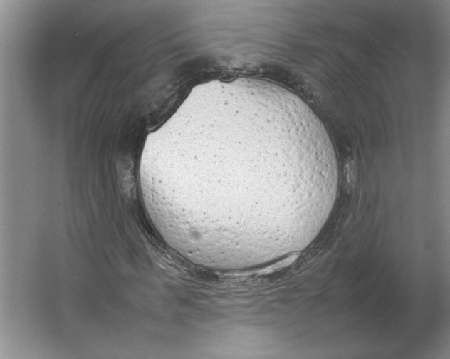 X0000062150963200512301549