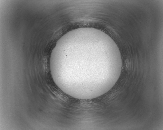 X0000062150964200512301549