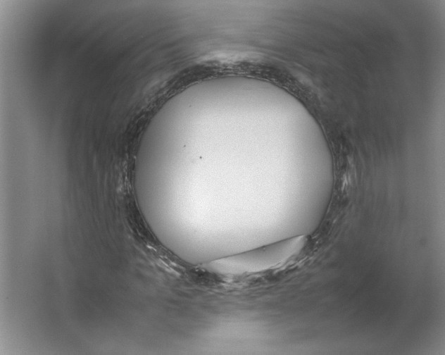 X0000062150965200512301549