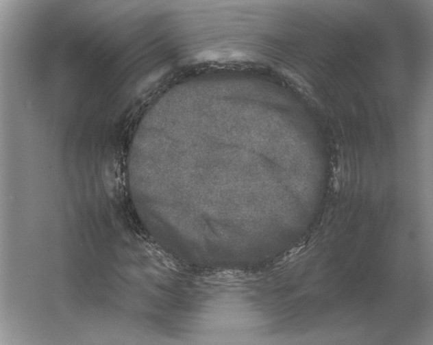 X0000062150966200512301549